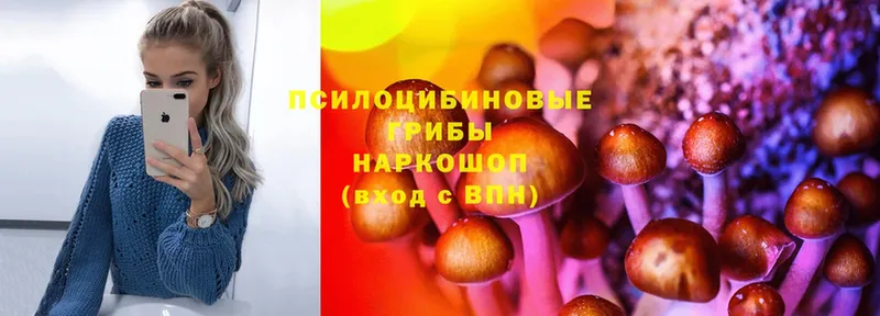 МЕГА вход  Сортавала  Галлюциногенные грибы MAGIC MUSHROOMS 